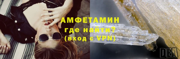 сатива Новодвинск
