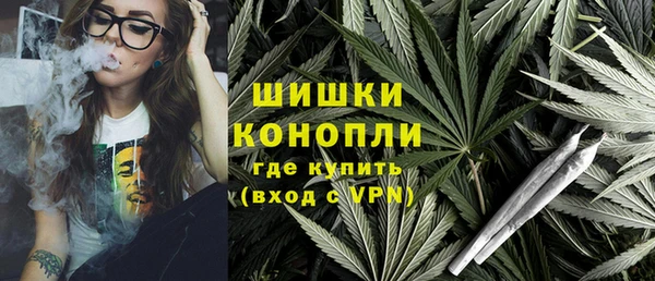 сатива Новодвинск