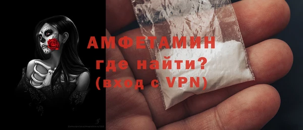 сатива Новодвинск