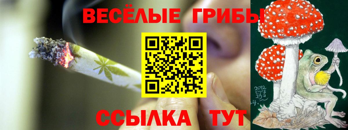 Галлюциногенные грибы GOLDEN TEACHER Карпинск
