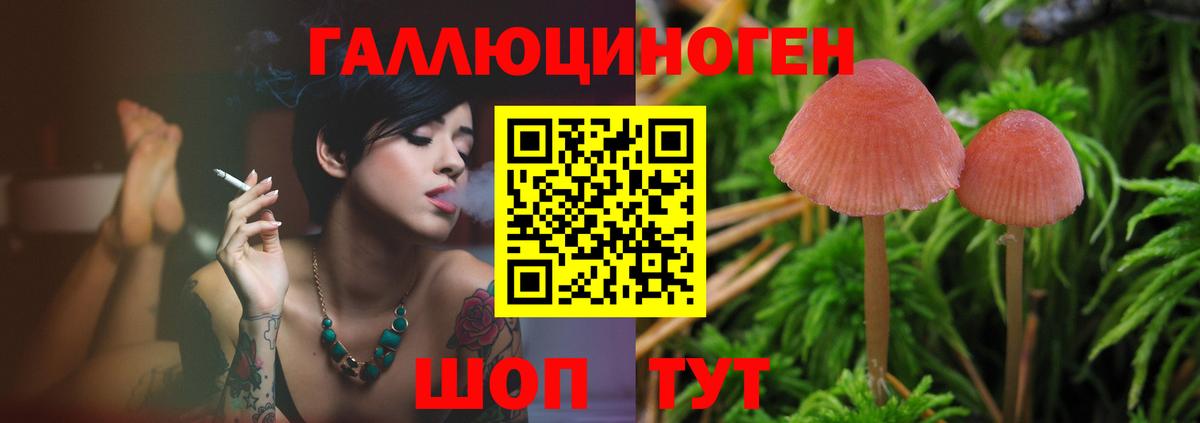 Псилоцибиновые грибы GOLDEN TEACHER Карпинск